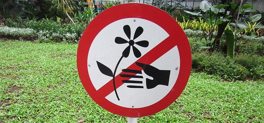 Mackey iot security 2 Internet of Things (IoT) Security Diagram by Synopsys