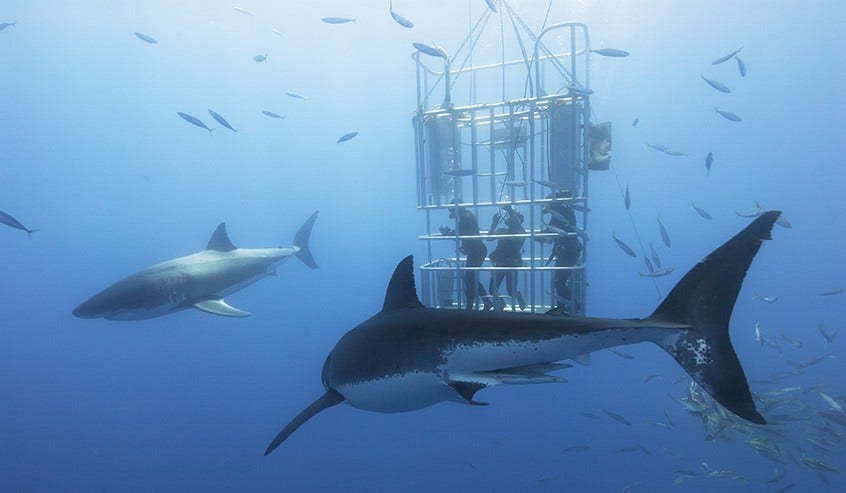 5G Security Fuzz Testing Techniques 5G Security Fuzzing Technique for Robust System Testing