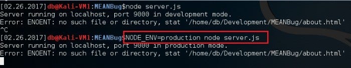 Setting NODE_ENV variable at runtime Setting NODE_ENV Variable in Node.js Runtime Environment
