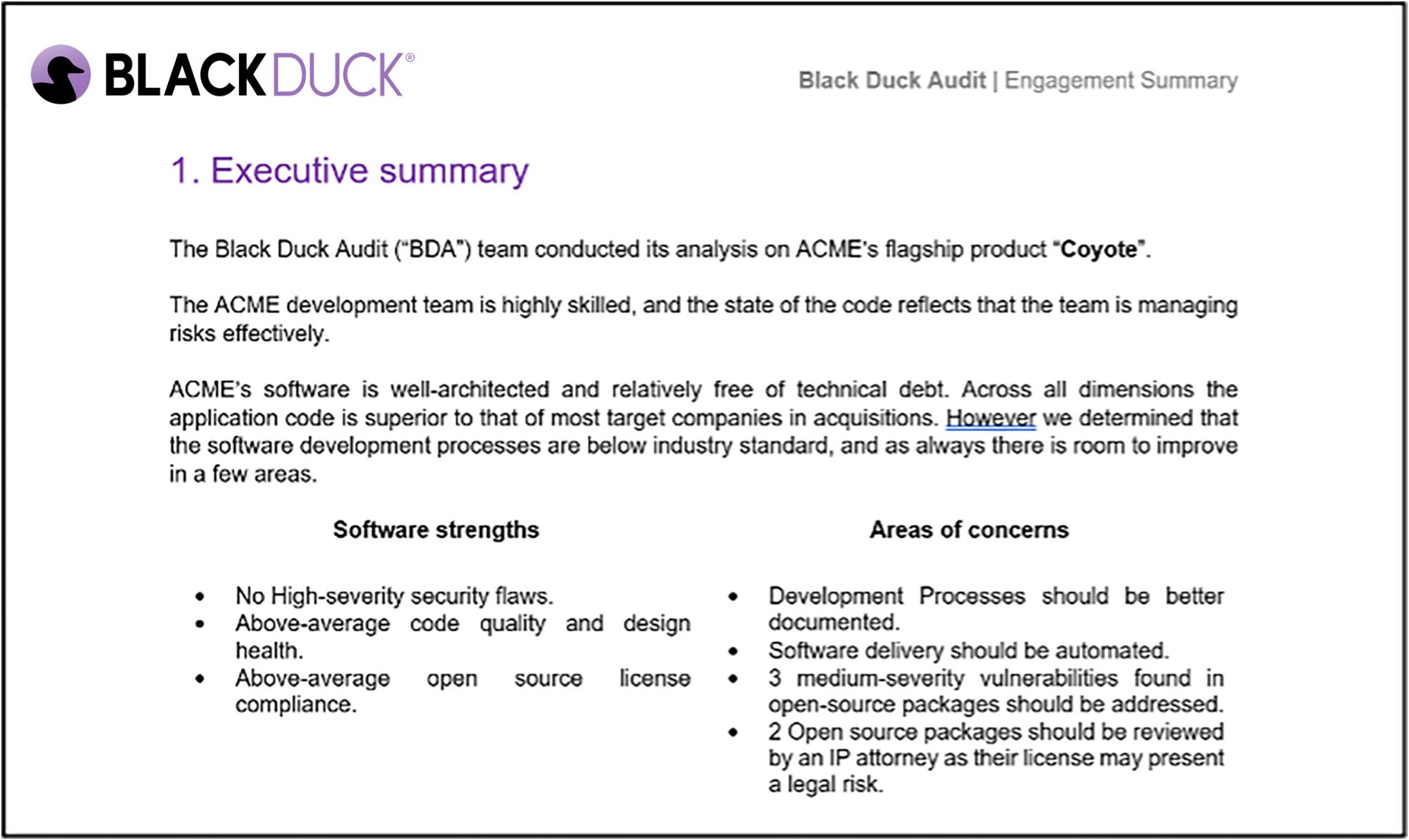 Black Duck executive summary