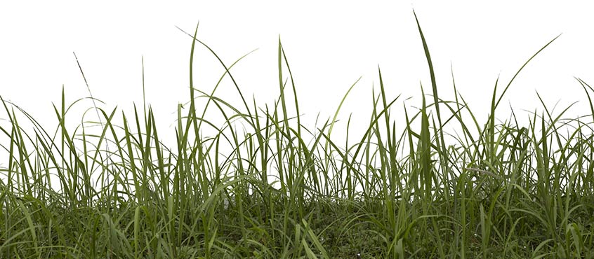 Secure development life cycle Data Protection, Threat Modeling, and Vulnerability Management Diagram