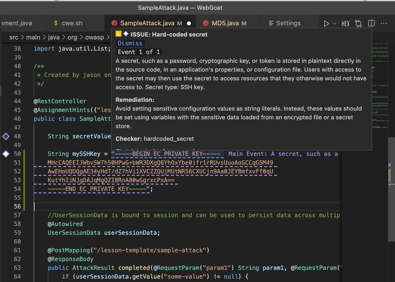 leaked ssh key Synopsys Code Sight Detecting Hard-Coded Secrets in VS Code for Software Security Breach Prevention
