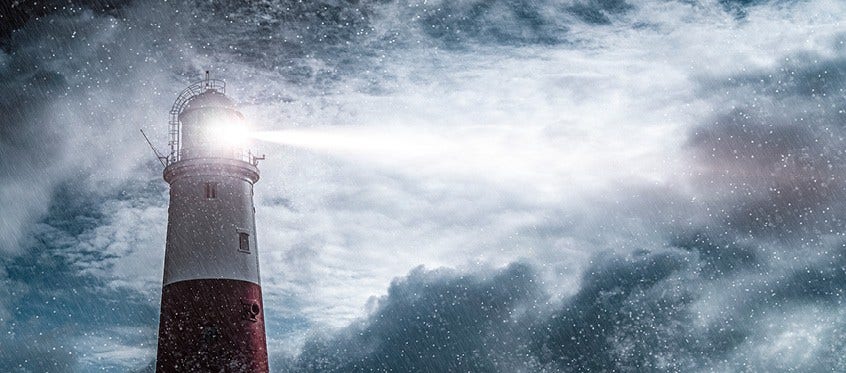 Software Security Fuzz Testing Process Explained