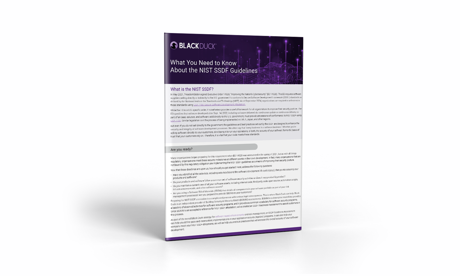 What You Need to Know About the NIST SSDF Guidelines thumbnail What You Need to Know About the NIST SSDF Guidelines thumbnail