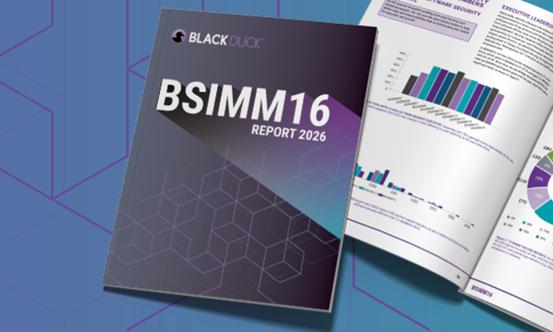 The BSIMM16 report: What today’s software security programs are really doing—and why it matters