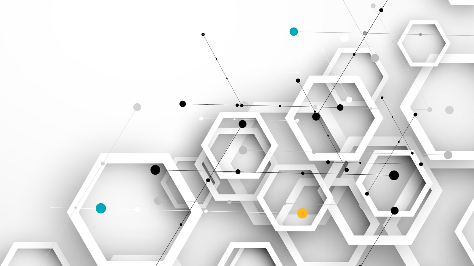 Software Vulnerability Snapshot Report Findings