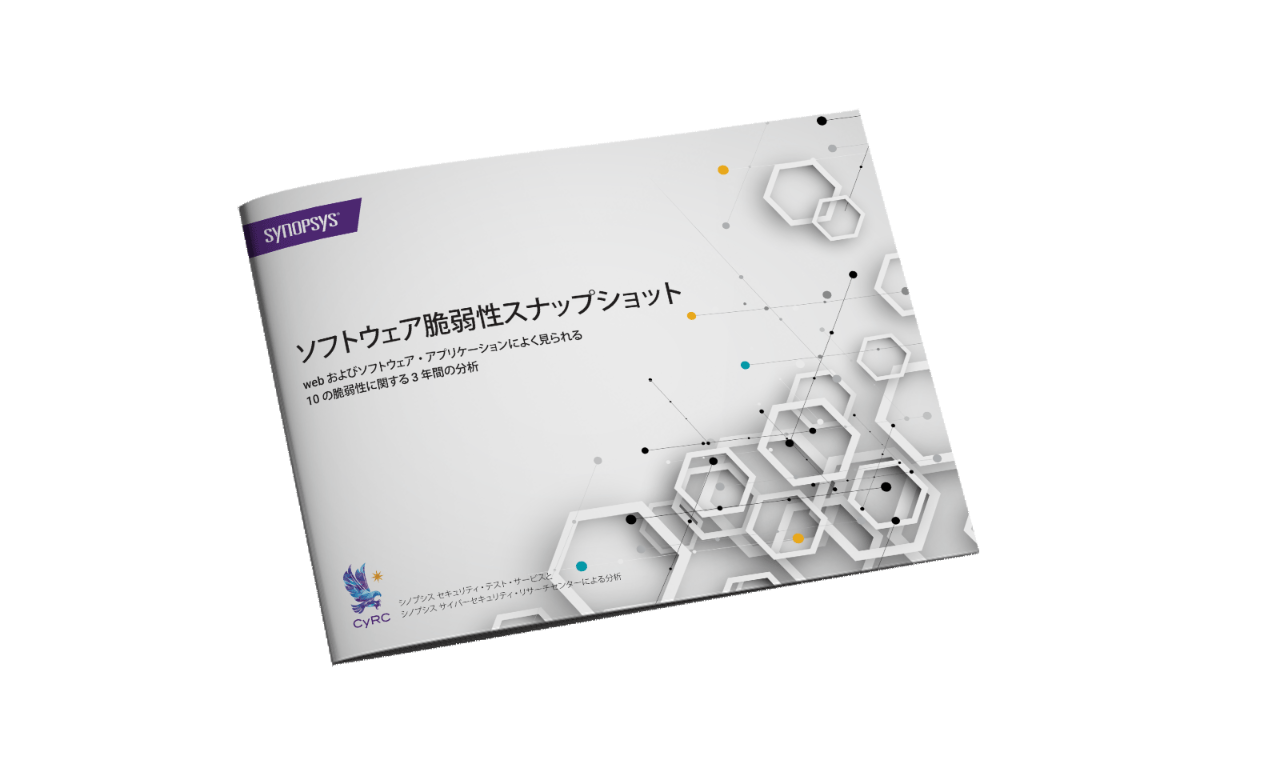 ソフトウェア脆弱性スナップショット