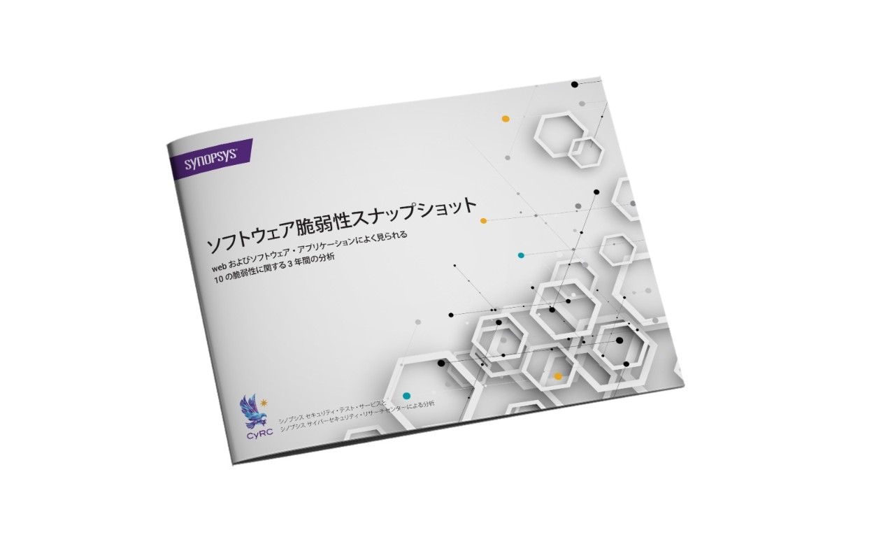 ソフトウェア脆弱性スナップショット