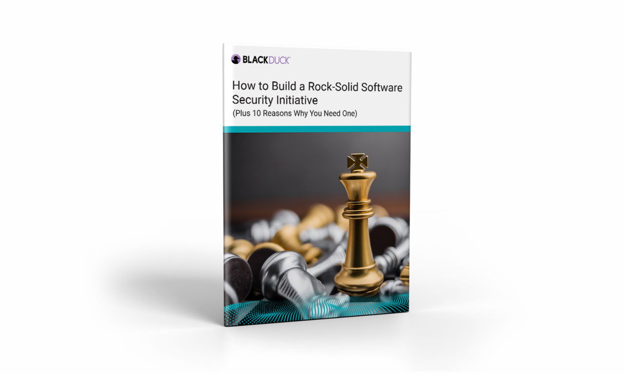 How to Build a Software Security Initiative Cover