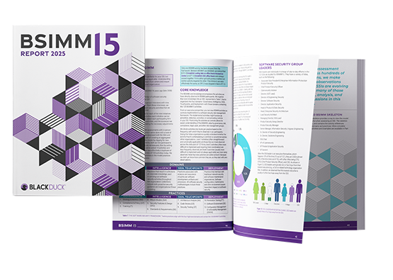 BSIMM15 Report