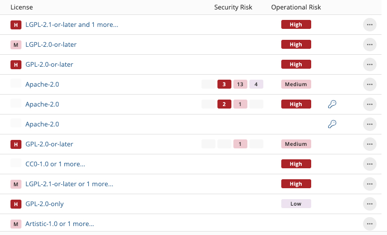 A visual of Black Duck SCA report highlighting the dependency risk insights in containers, including security, license, and operational risk.